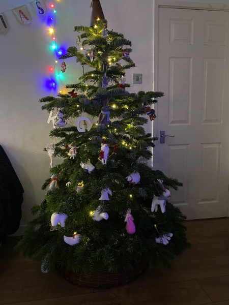 The ultimate SHOW US YOUR TREE megathread!