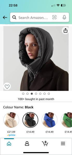 Can’t find a warm long coat without a hood!
