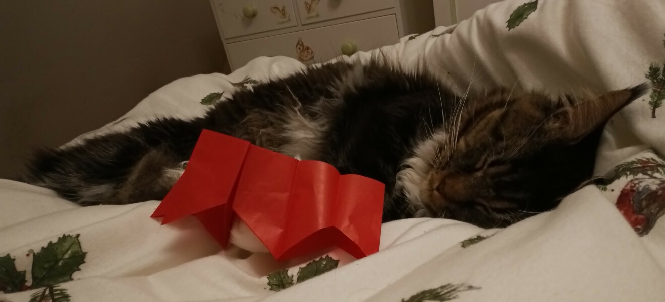 Who has fallen asleep first in your house?