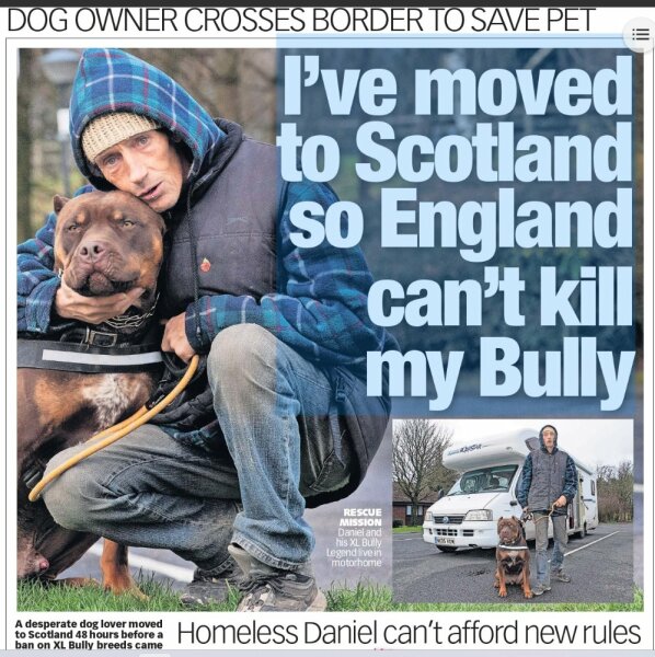 XL bully dogs and Scotland