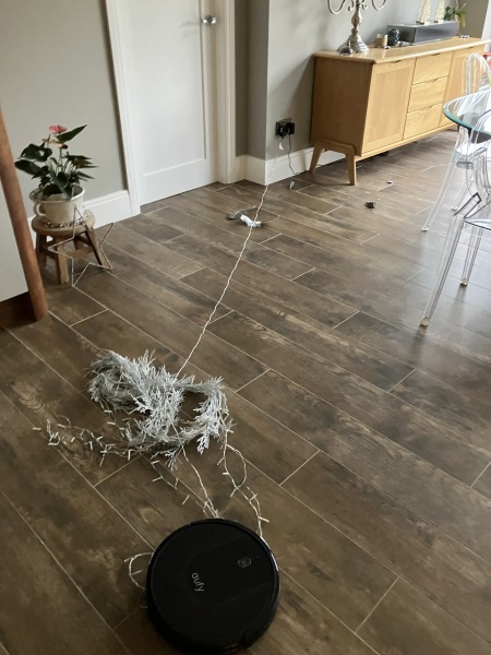 Christmas Day. And so it begins