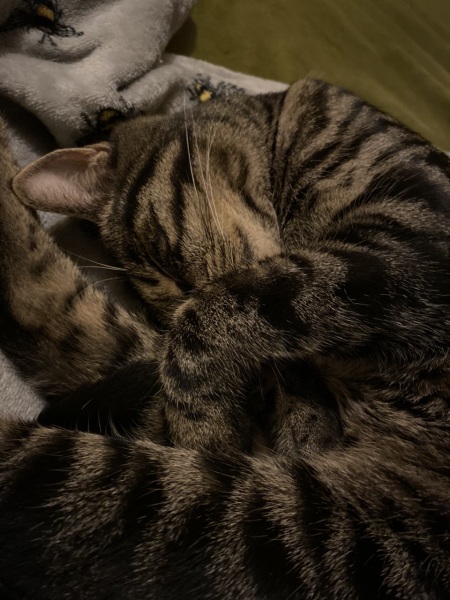 Mouse antics - help!