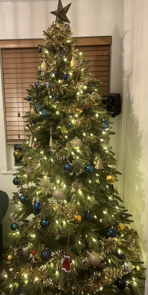Can I see your Christmas tree?