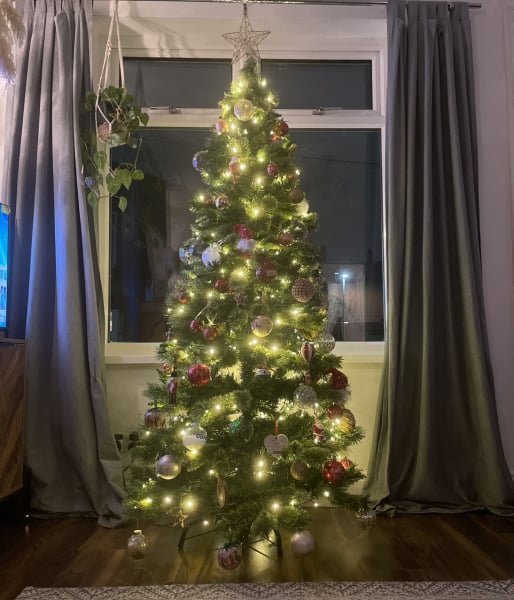 Can I see your Christmas tree?
