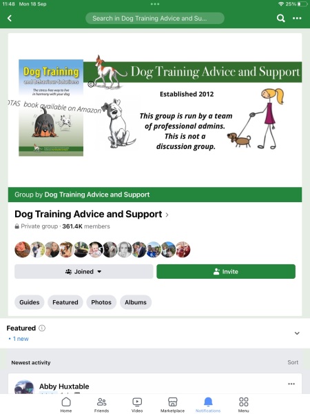 Puppy crying all night