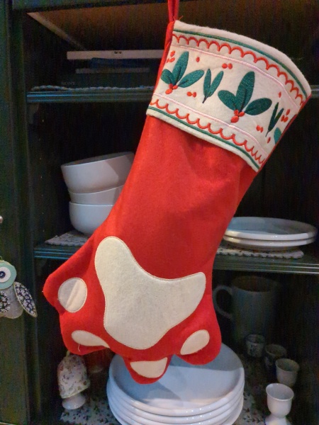 Does anyone buy there cat a present for Christmas?