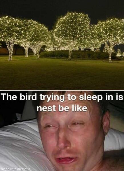 Why are the birds singing at 12.30am?