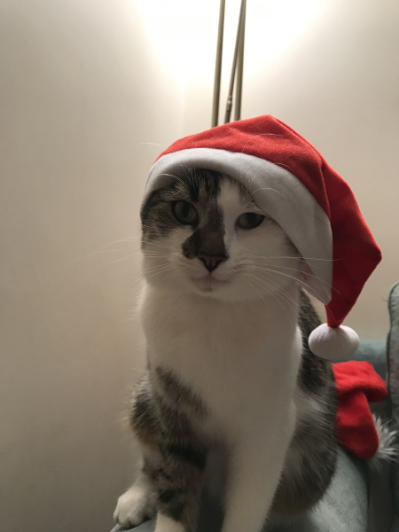 Cancer Support Thread 92 - Christmas Happy Hour at the Patience Inn 7pm tonight 🎄