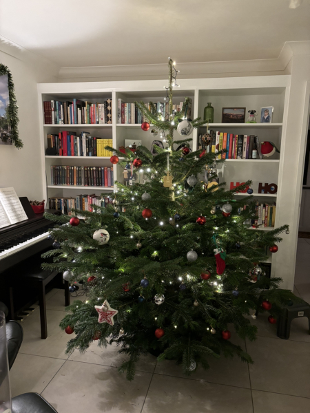 The ultimate SHOW US YOUR TREE megathread!