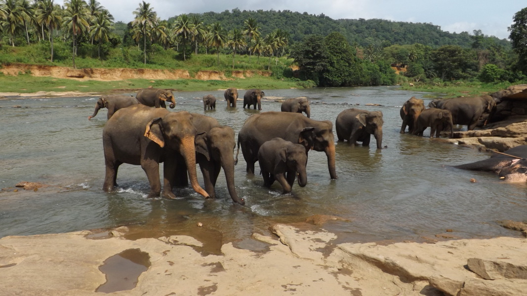 Sri Lanka itinerary