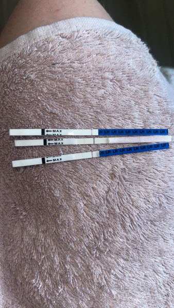 Ovulation after termination
