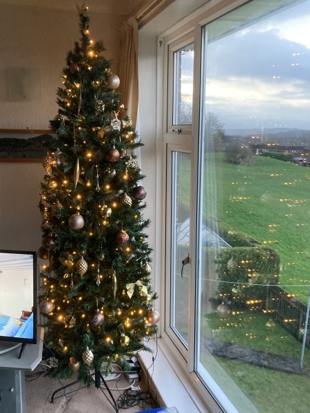 Can I see your Christmas tree?