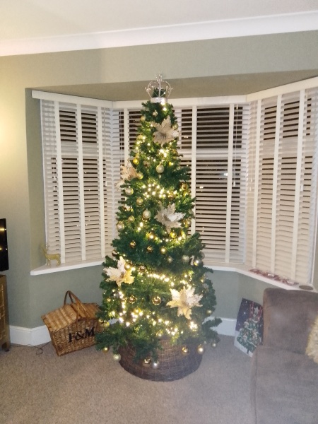 Can I see your Christmas tree?