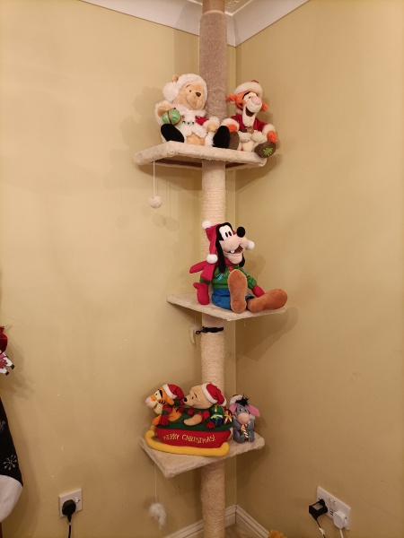 Can I see your Christmas tree?