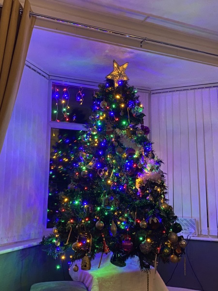 Can I see your Christmas tree?