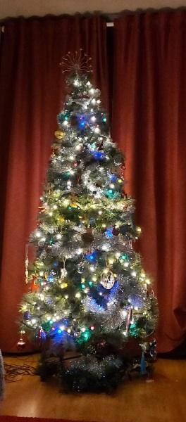 Can I see your Christmas tree?