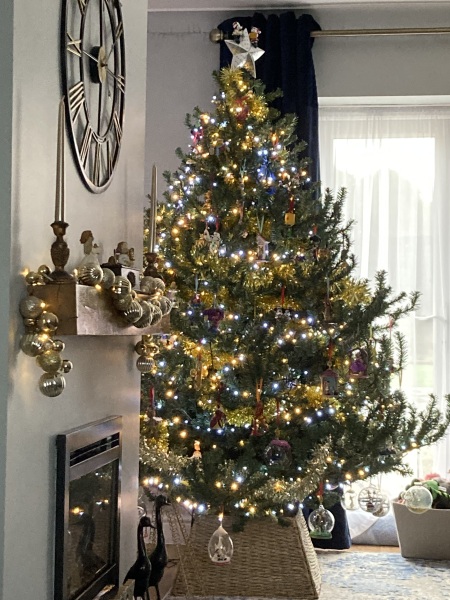 Can I see your Christmas tree?