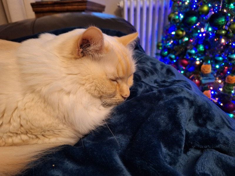 Nigel Slater Christmas Chronicles Read Along 2023 - Part Two