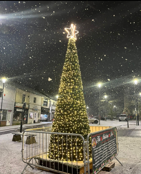 Is this the most rubbish tree you’ve seen in a town?