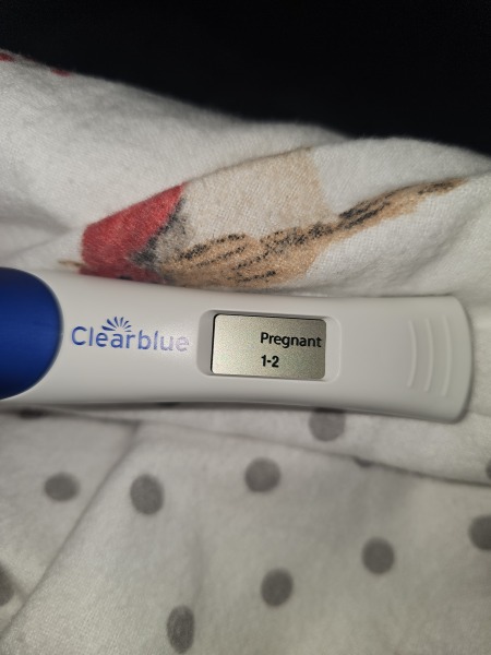 BFP for 2 days but negative CB digital