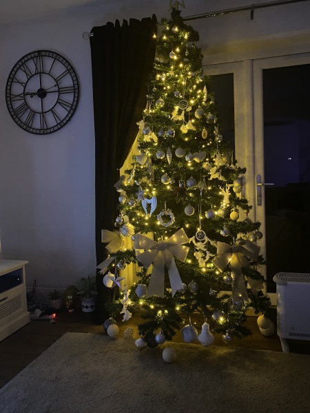Can I see your Christmas tree?