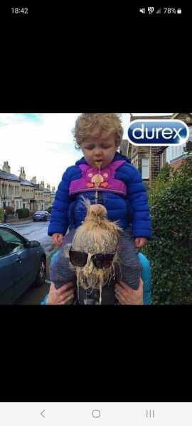 Kids - why do we have them again?
