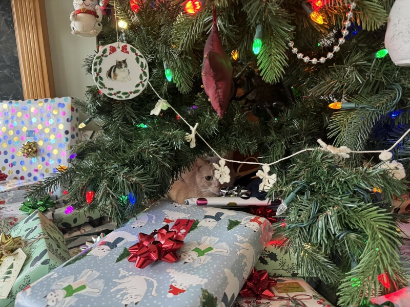 Come and tell me your dull and unexciting news 28: Calmly through the day