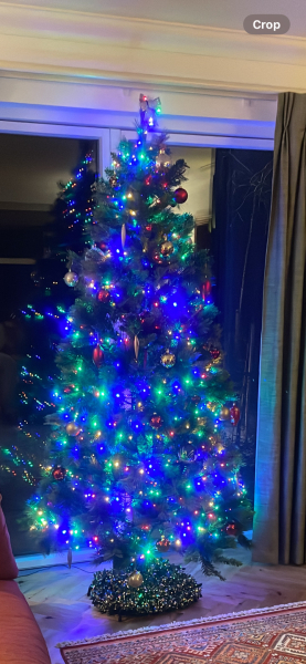 Coloured Christmas tree lights