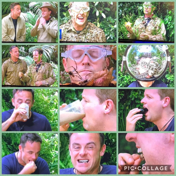 I'm A Celebrity 2023 Thread #7