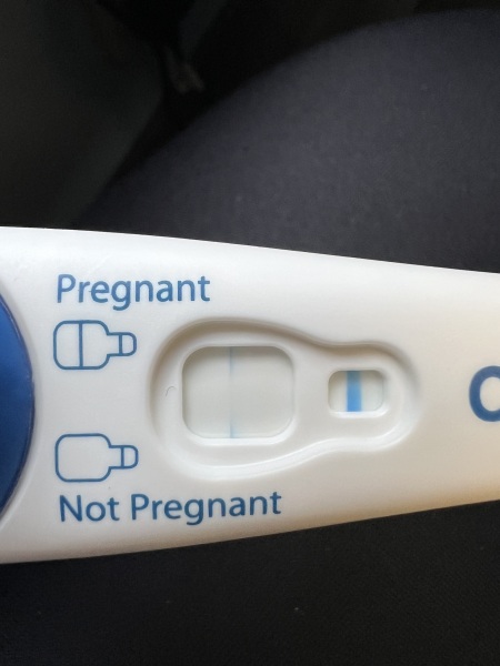 Clear blue test. Evap line or positive