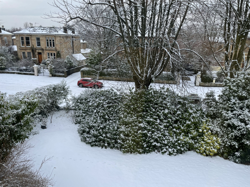 Saffas moving to Scotland