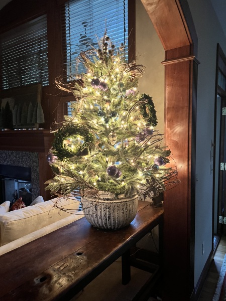 Can I see your Christmas tree?
