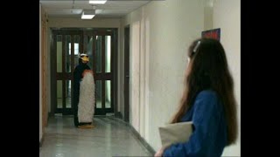 AIBU in thinking penguins should be banned...