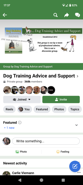 Please help with rescued golden retriever