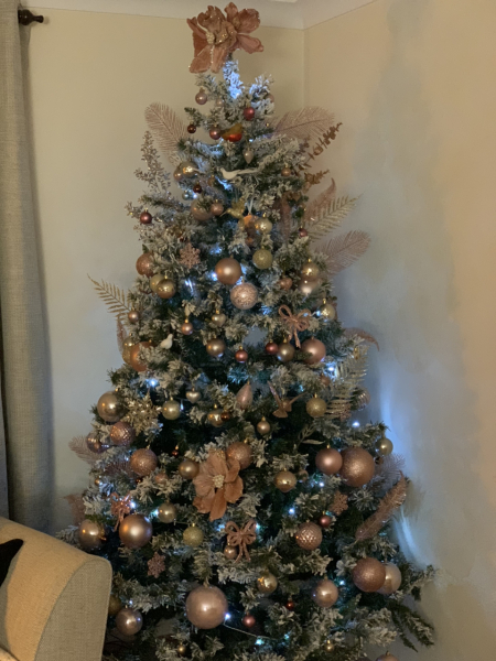 Can I see your Christmas tree?