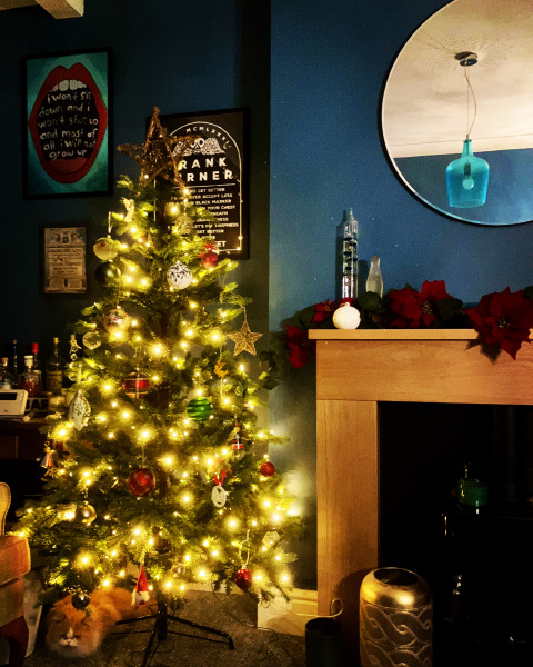 Can I see your Christmas tree?