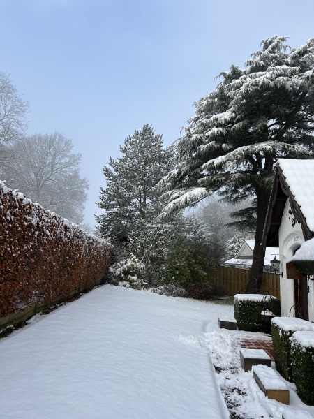 WAGdown Abbey Word Association Game