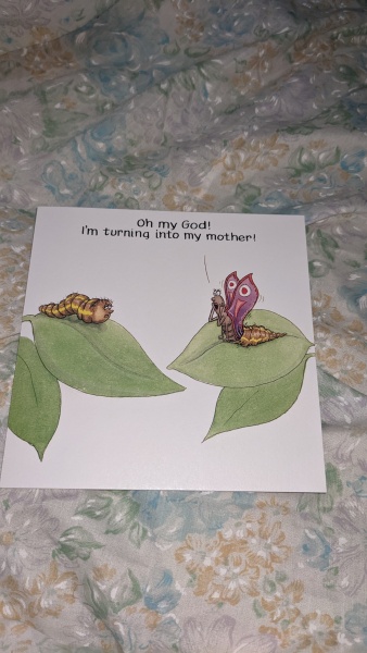 Come and tell me your dull and unexciting news 27: Calmly through the day