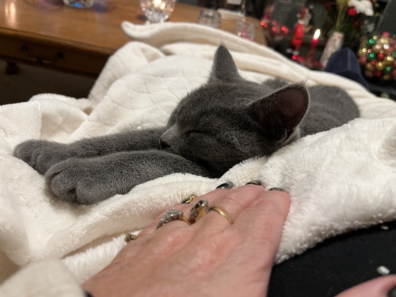 Need a handhold please