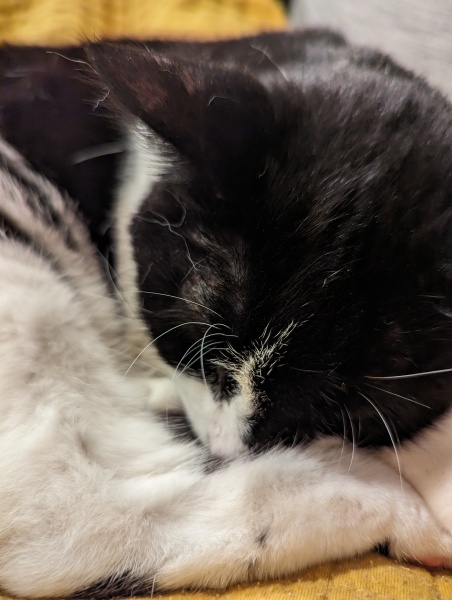 Cancer Support Thread 92 - Christmas Happy Hour at the Patience Inn 7pm tonight 🎄