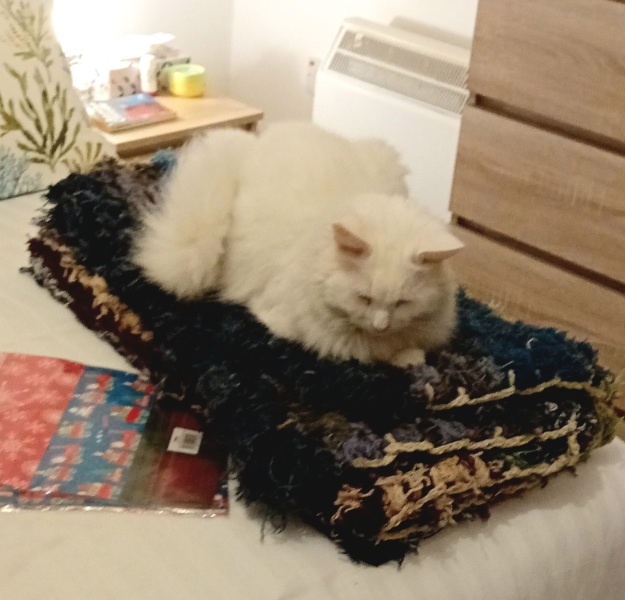 Christmas with the Excellent Cats