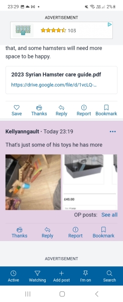 Hamster chewing cage