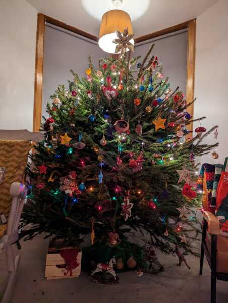 Can I see your Christmas tree?