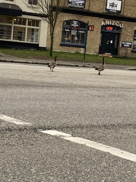 Come and tell me your dull and unexciting news 27: Calmly through the day