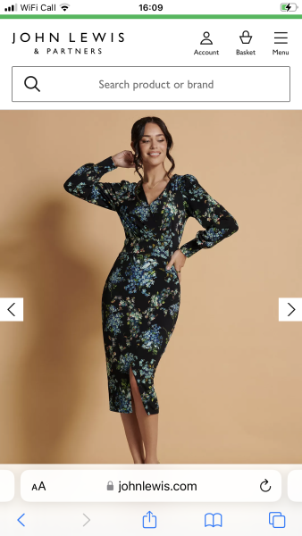 Opinions on this dress please