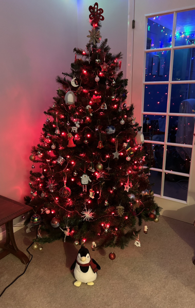 Can I see your Christmas tree?