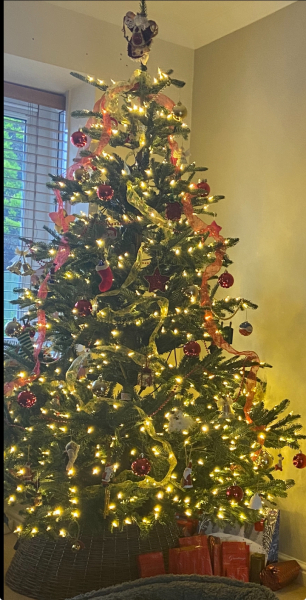 Can I see your Christmas tree?