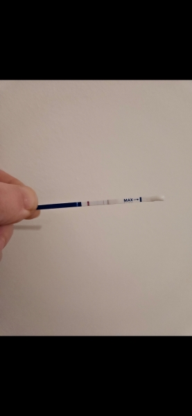 Early pregnancy test