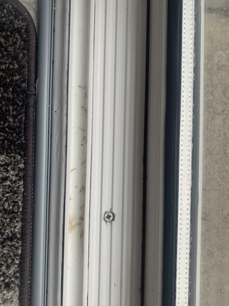 What are these worms in my house