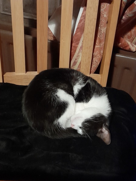 Childfree people - hello!